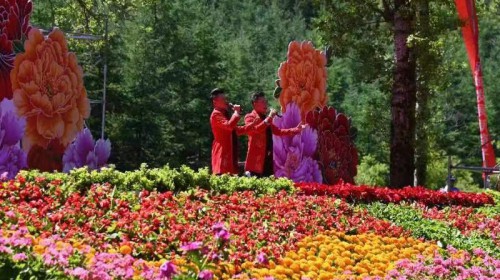 6月13日，“2023中國花兒大會”將盛大開幕